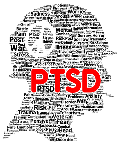 PTSD Therapist
