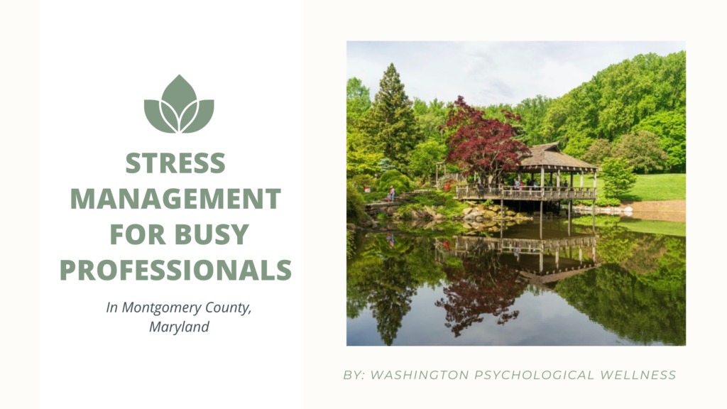 Stress Management Advice for Busy Professionals in Montgomery County, Maryland