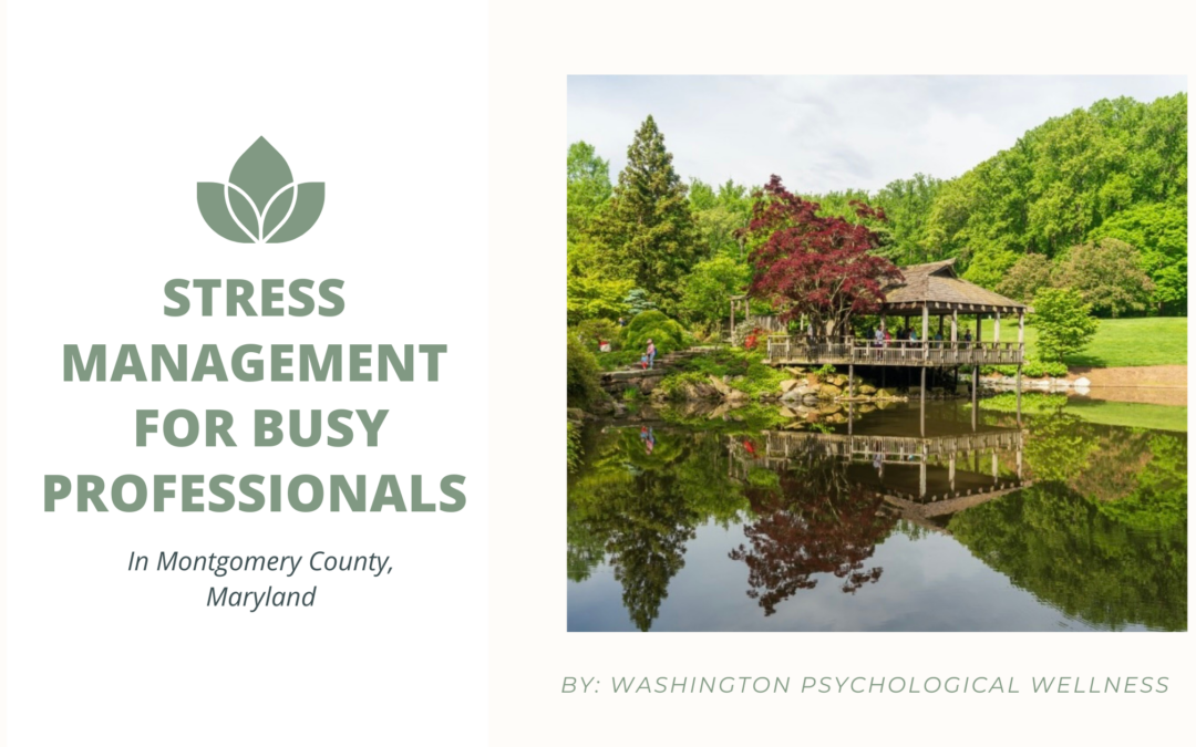 Stress Management Advice for Busy Professionals in Montgomery County, Maryland