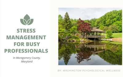 Stress Management Strategies for Busy Professionals in Montgomery County